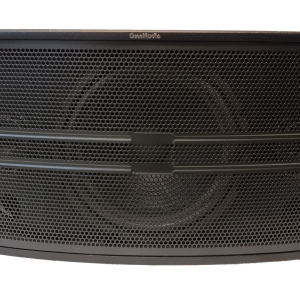 OmniAudio 10" 2-Way Karaoke Speaker (1 Pair)