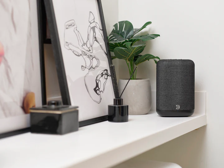 Bluesound PULSE FLEX Wireless Music Streaming Speaker - Image 11