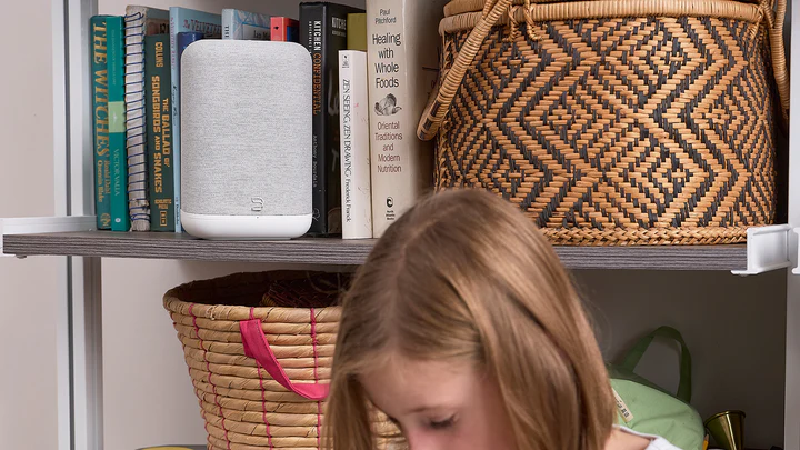 Bluesound PULSE FLEX Wireless Music Streaming Speaker - Image 14