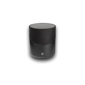 Bluesound PULSE M Wireless Multi-Room Music Streaming Speaker