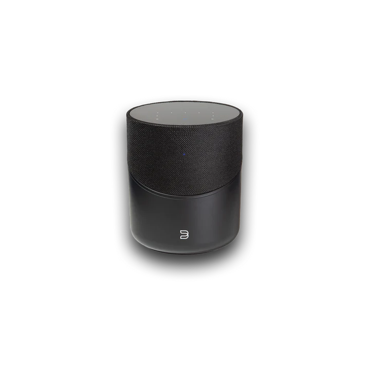 Bluesound PULSE M Wireless Multi-Room Music Streaming Speaker