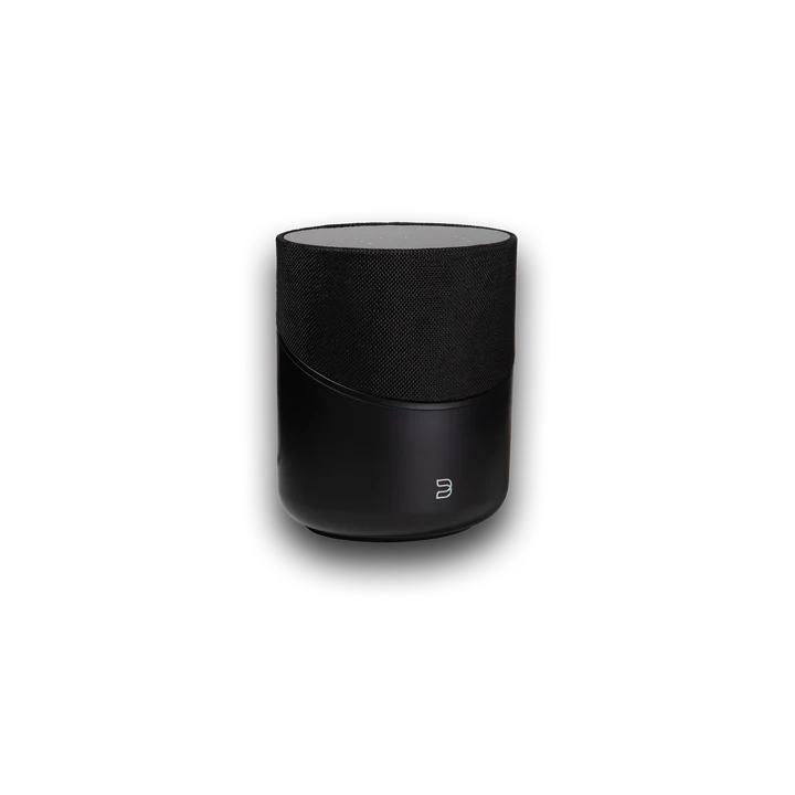 Bluesound PULSE M Wireless Multi-Room Music Streaming Speaker - Image 2